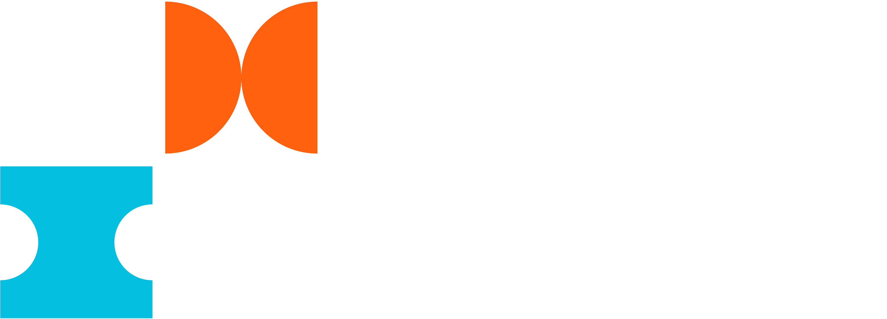 PMI Tanzania Chapter Logo